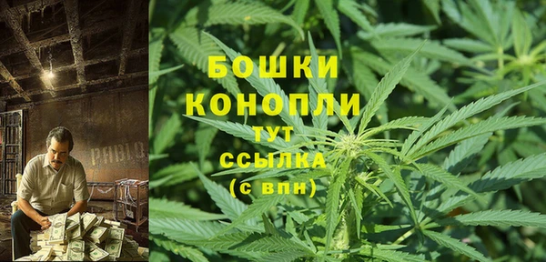 2c-b Богородицк