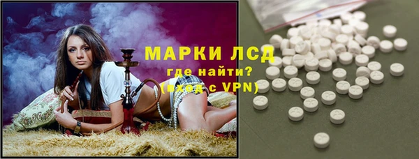 стаф Богданович
